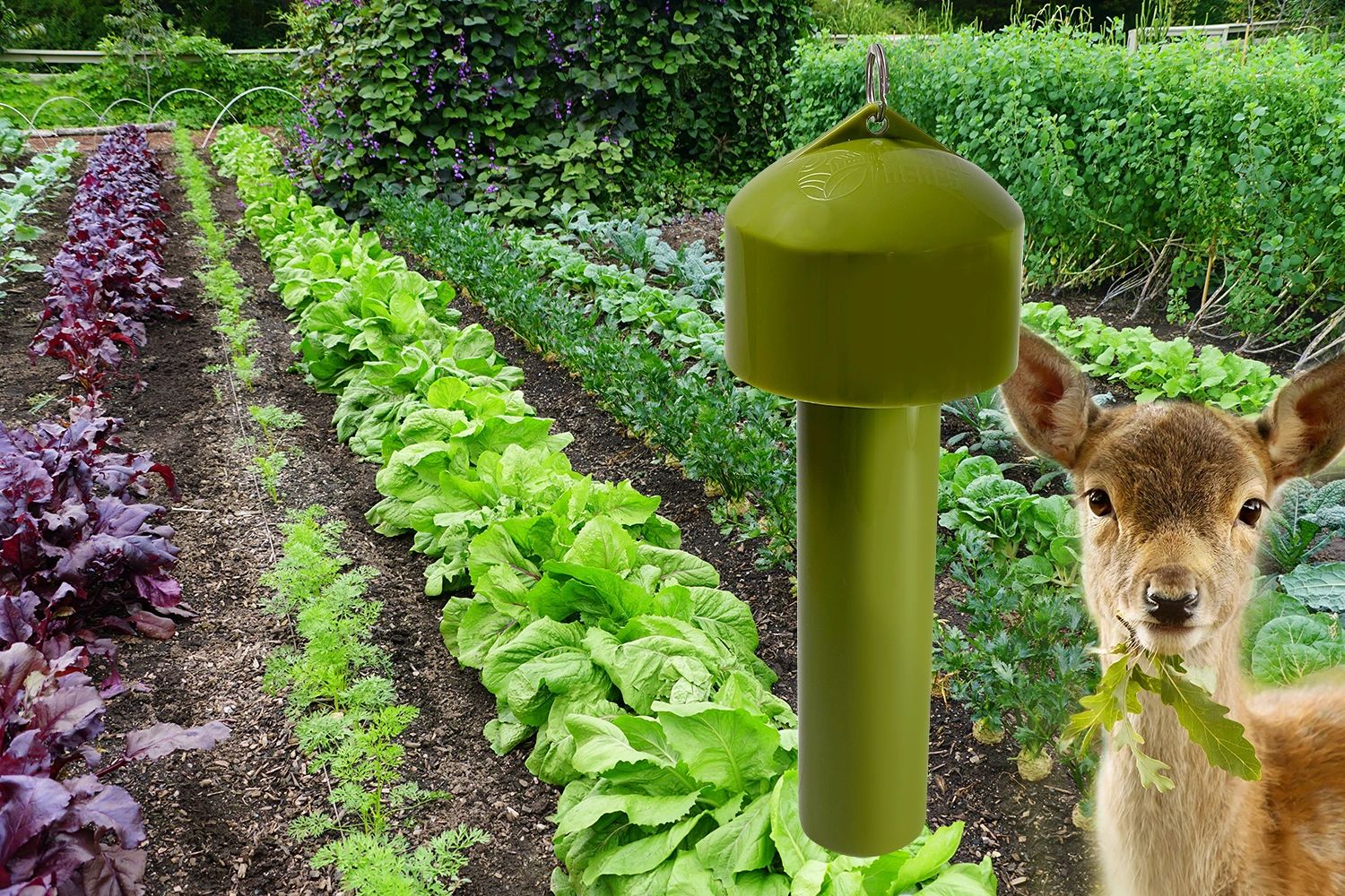 HOME greenguardian info 
